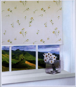 ������ Camilla. ��������� �������.