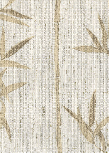 Canne 701 - ������ Rollite ��� ������������������ ����.