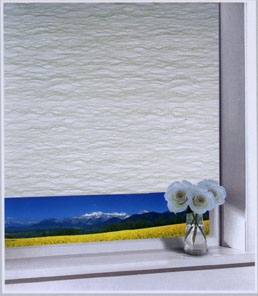 ������ Capelli. ��������� �������.