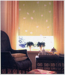 ������ Carina. ��������� �������.