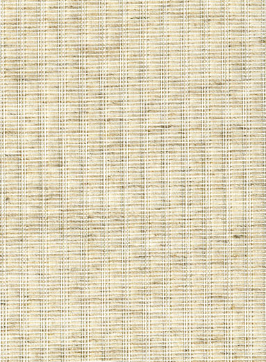 Fiji 101 - ������ Rollite ��� ������������������ ����.