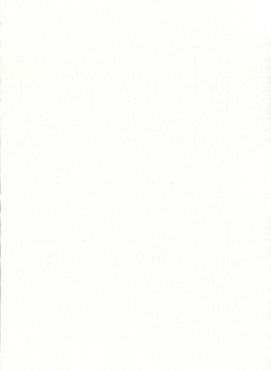 Gerbera - ������ Rollite ��� ������������������ ����.