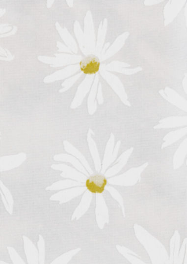 Oregon 1 - ������ Rollite ��� ������������������ ����.