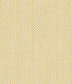 ������ Screen. ��������� �������.