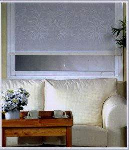 ������ Siesta. ��������� �������.