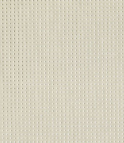 ������ Starlet. ��������� �������.