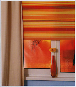 ������ Stripes. ��������� �������.