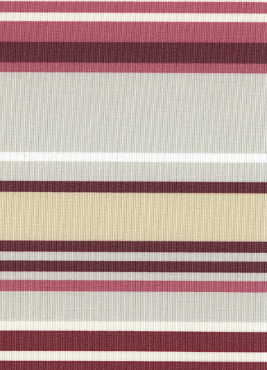 Stripes 21 - ������ Rollite ��� ������������������ ����.