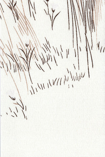 Tunturi brown - ������ Rollite ��� ������������������ ����.